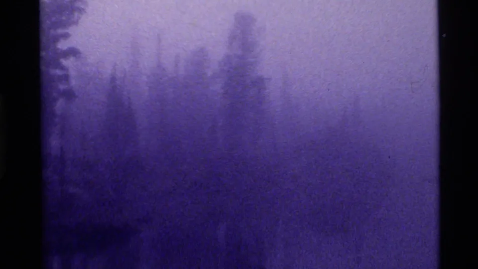 A faint Montana tree line emerges through heavy fog in soft, grainy 8mm footage from the Holland Lake clip.