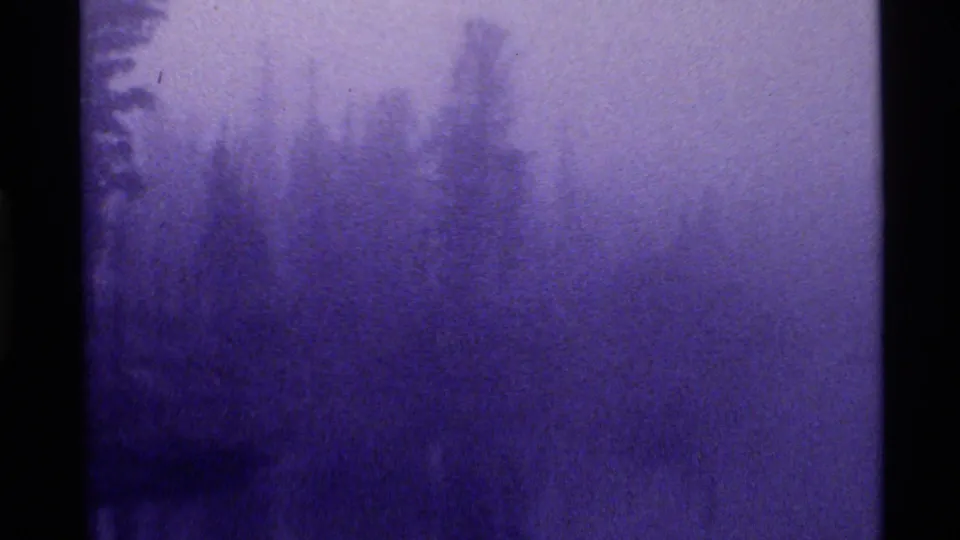 Fog softens a forest edge and possible shoreline in the 1972 Holland Lake home-movie footage.