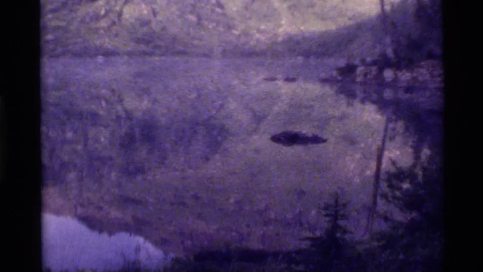 Holland Lake comes into view through fog, showing calm water, shoreline vegetation, and a small dark floating object.