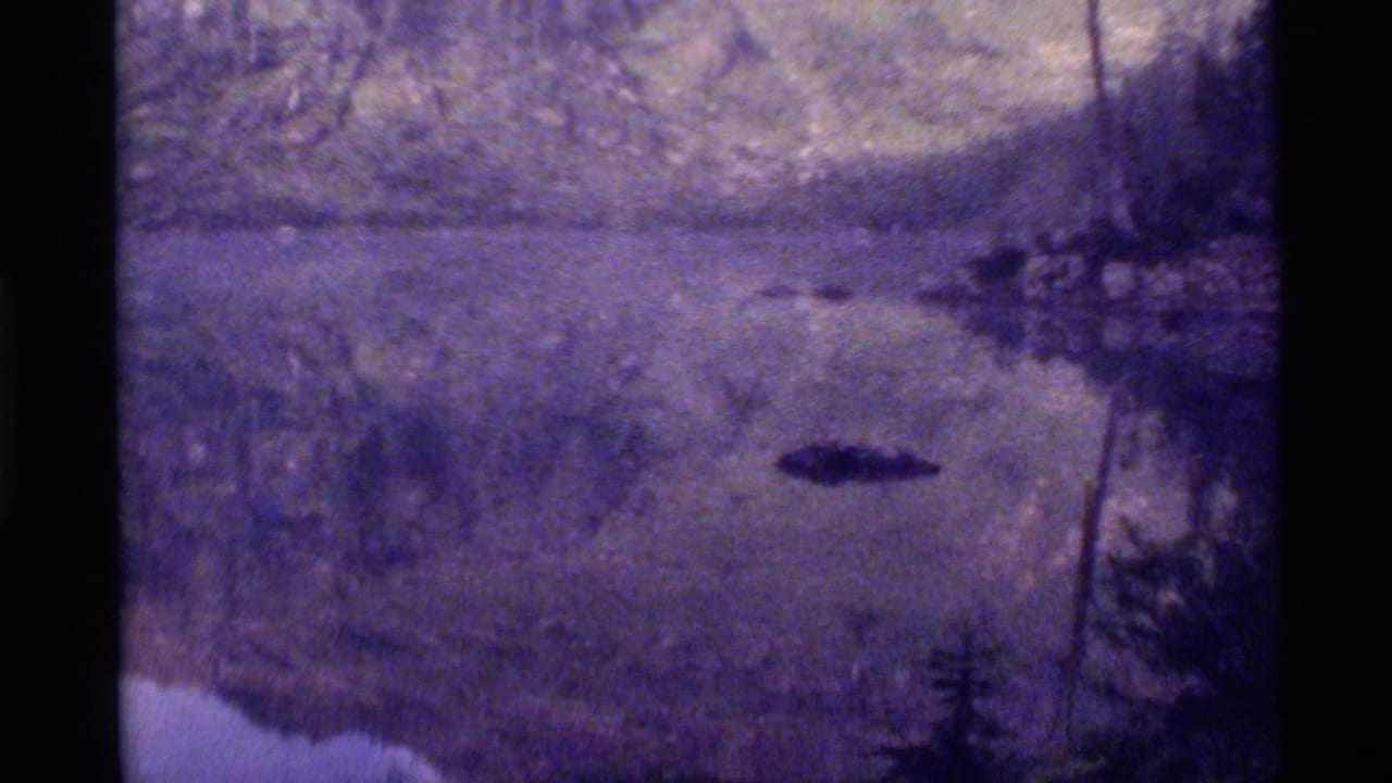 Purple-tinted lake and mountain view with a dark floating shape on the water.