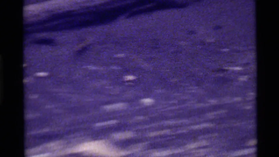 Purple-shifted 8mm frame from Holland Lake, Montana, showing ground debris and motion blur where the rodent crosses the scene.