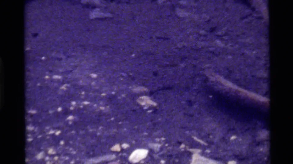 1972 8mm frame showing a dirty ground surface in purple cast, with twigs, small debris and no people visible.