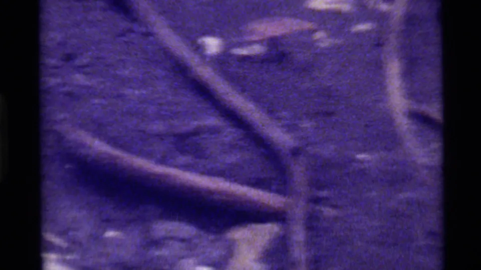 Final 1972 Holland Lake 8mm frame with sticks, ground debris and a blurred rodent form near the top of the shot.