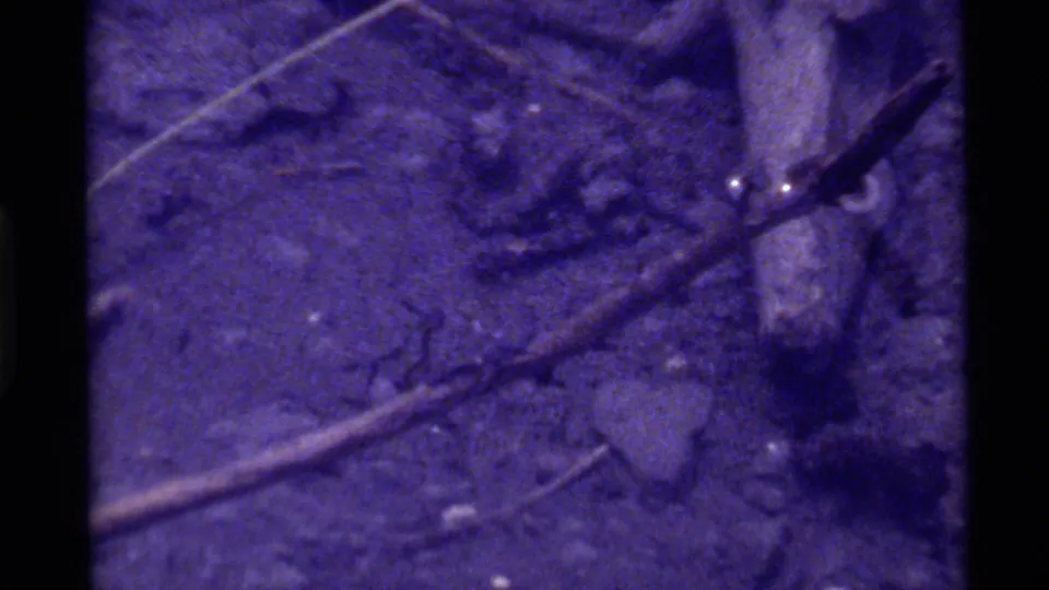 1972 8mm top-down view of Holland Lake water with submerged branches, debris, and grainy purple film color.