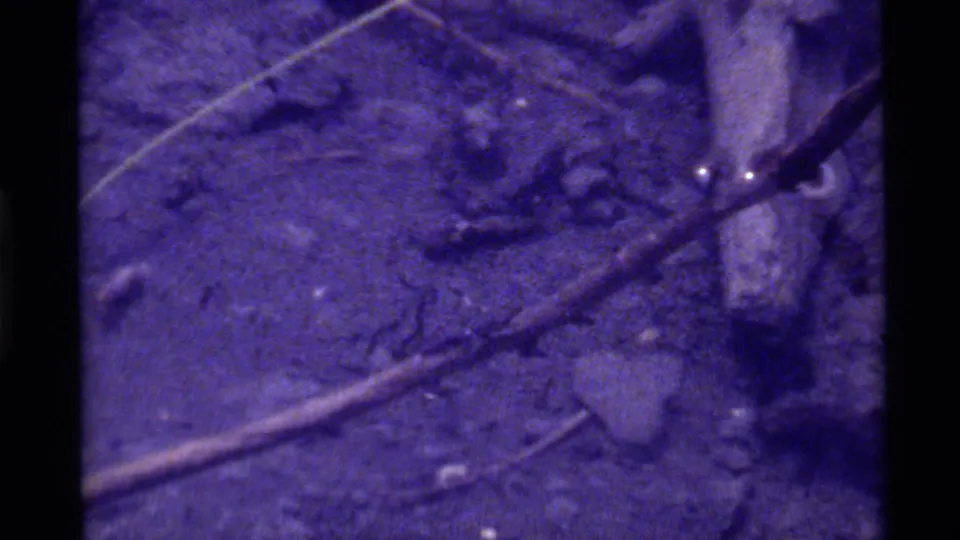 Top-down 8mm frame at Holland Lake showing purple-blue shallow water, sticks, and scattered debris on the lakebed.