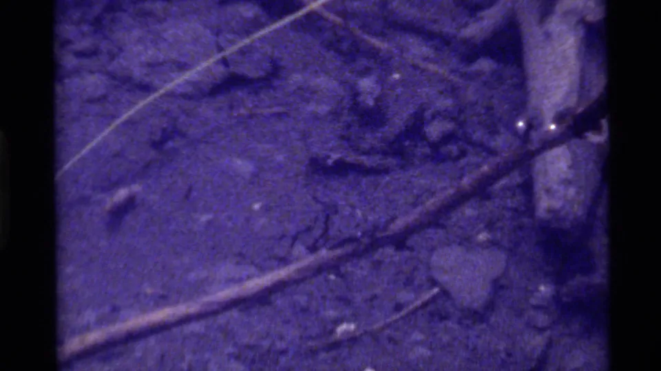 1972 Holland Lake 8mm frame with an indistinct close-up of ground debris, diagonal pale lines, and shadowed film-gate edges.