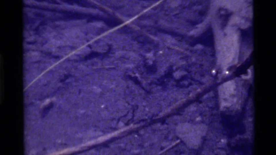 1972 Holland Lake 8mm frame showing shadowed ground texture, twig fragments, pale crossing strands, and pronounced purple film coloration.