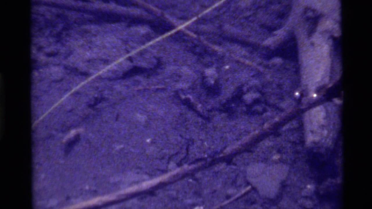 Purple-tinted underwater riverbed with twigs, sediment, and a pale vertical stick at right.