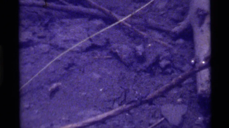 1972 Holland Lake underwater frame with a textured bottom, diagonal twig, pale stick at right, and scattered natural debris.