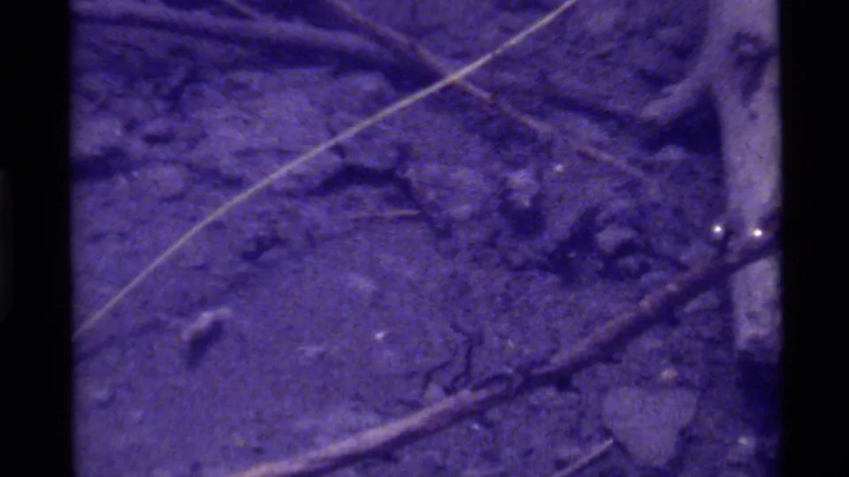 1972 Holland Lake underwater frame with soft 8mm grain, crossed twigs, a darker central patch, and scattered bottom debris.