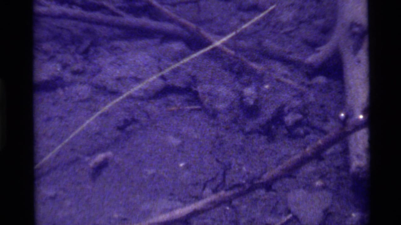 1972 Holland Lake home-movie frame showing rocky forest floor, twigs, and a small animal partly visible near the lower left.