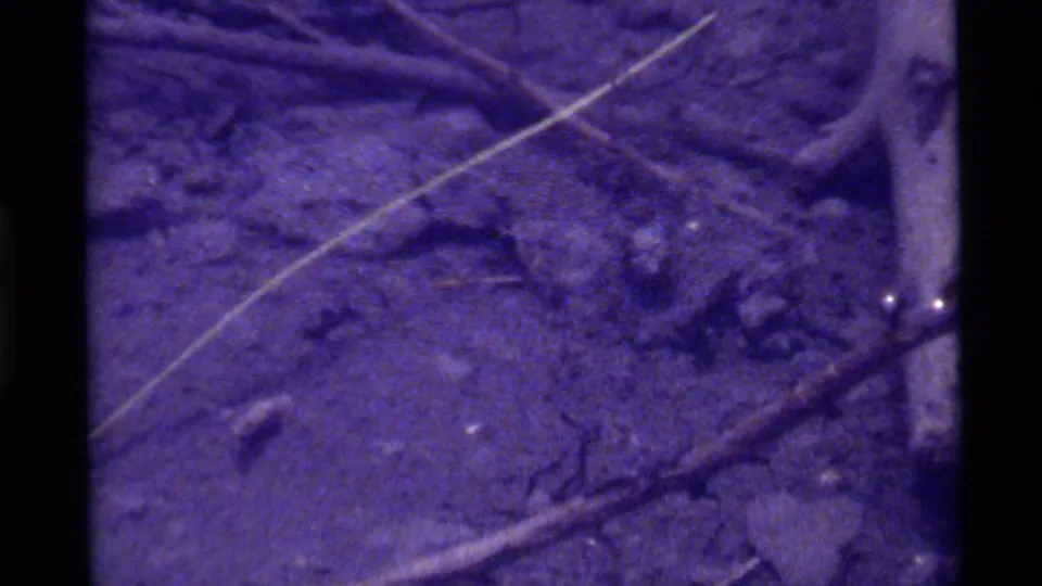 1972 Holland Lake home-movie frame showing rocky forest floor, twigs, and a small animal partly visible near the lower left.
