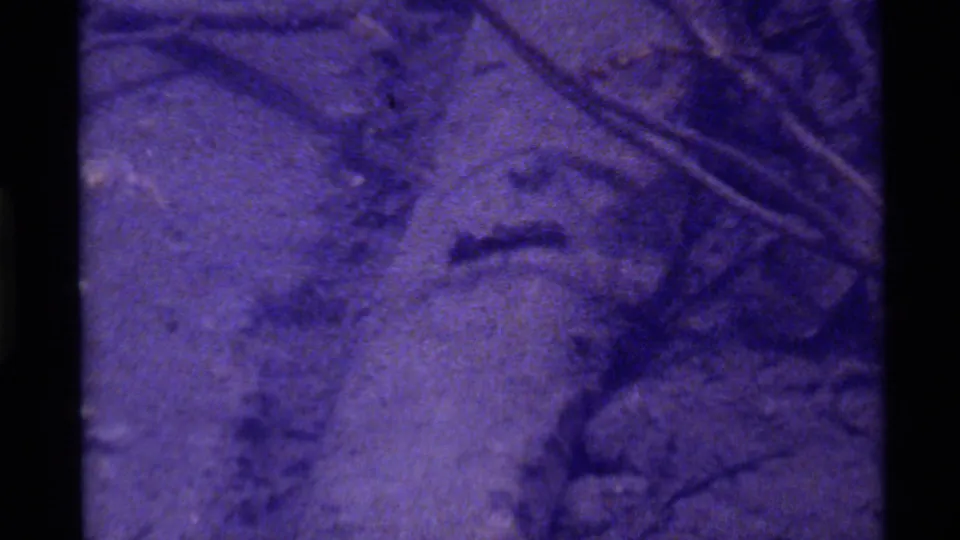 Holland Lake frame showing the small animal near the lower center of a rocky, twig-strewn forest floor in grainy 8mm color.