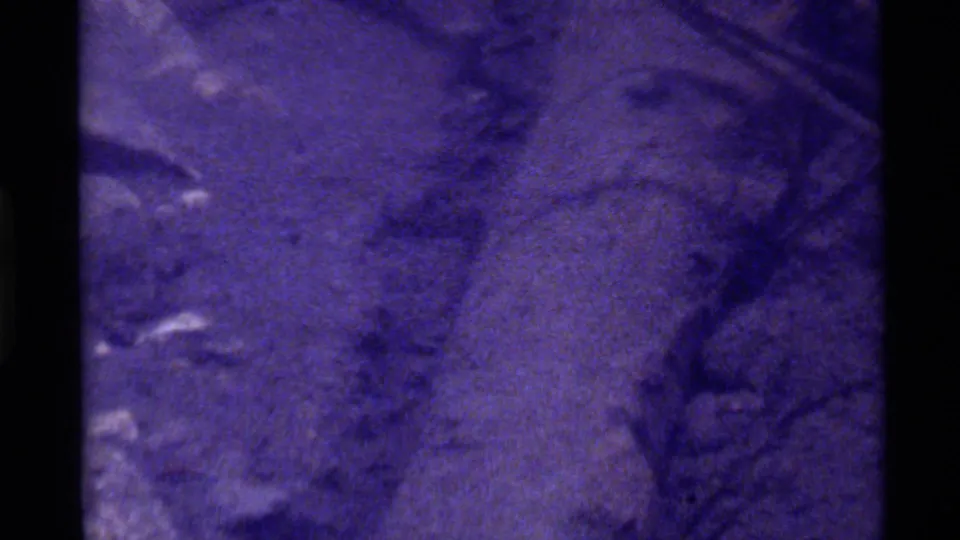 Purple-shifted 1972 8mm frame from Holland Lake showing blurred forest floor and branches with the subject not clearly resolved.
