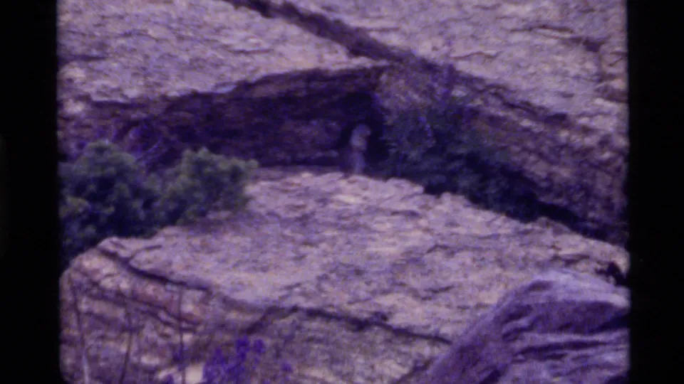 A small animal stands near a rock ledge below a fallen log in 1972 Holland Lake 8mm footage with a strong aged color cast.