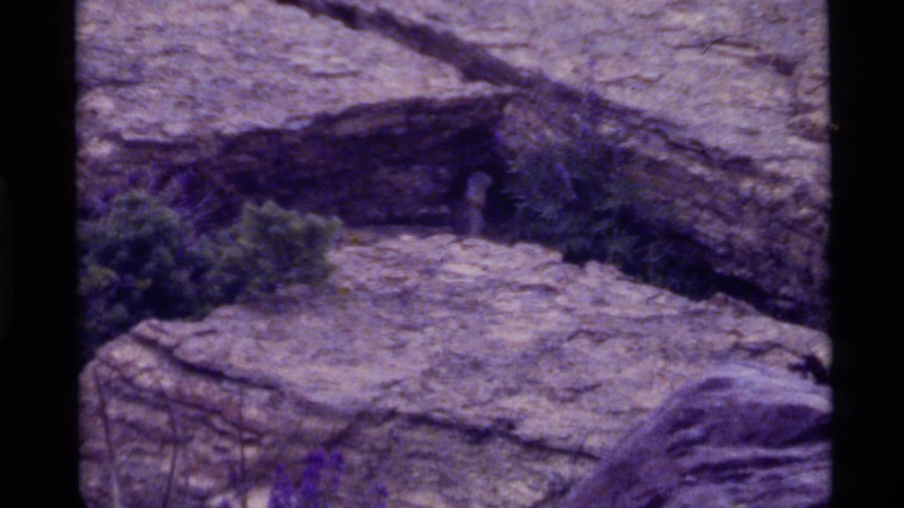 Rock ledge with sparse vegetation and a dark vertical edge near the center.