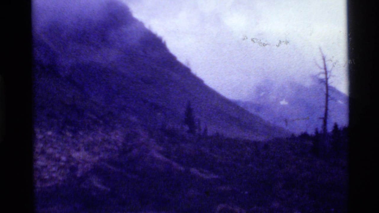 1972 Holland Lake, Montana home-movie frame showing a misty mountain slope, dark forest edge, pale sky, and a bare tree silhouette.