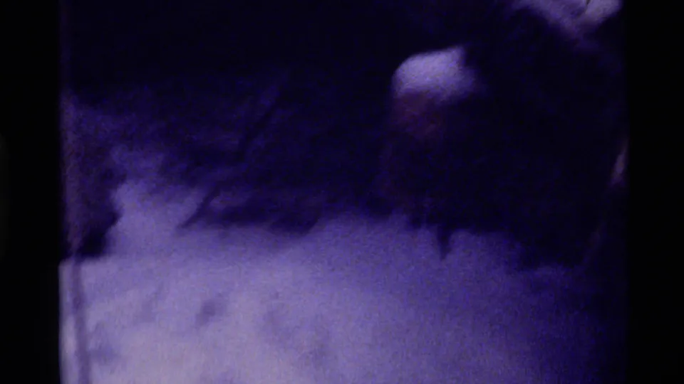 Soft, blue-purple 8mm frame from Holland Lake showing a bundled person close to camera beside snow and dark trees.