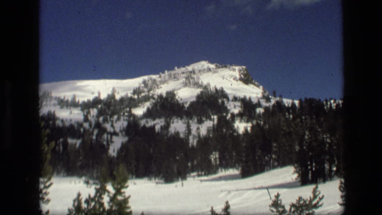 Snowy ridge and pine-covered slope beneath blue sky with light clouds.