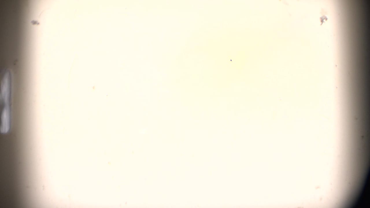 Bright overexposed 8mm frame from the 1972 Idaho home movie, with rounded gate edges and visible film specks.