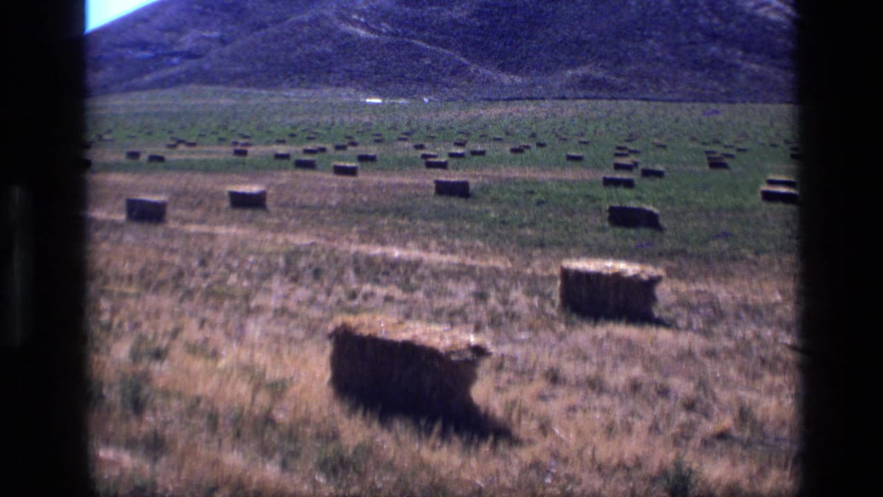 Rectangular hay bales scattered across a field below a mountain.