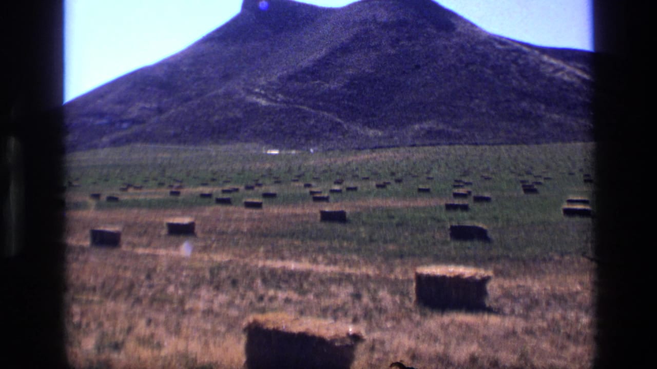 Open hay field with many square bales and a dark hill in the background.