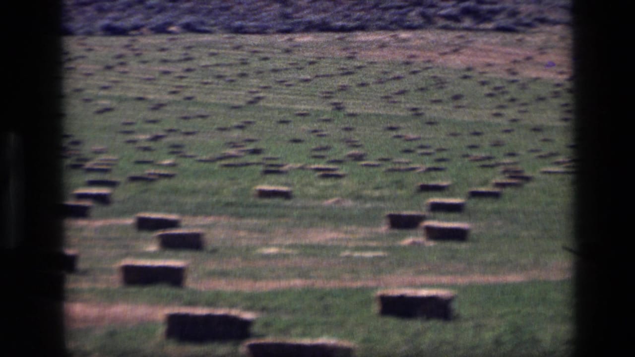 Green field scattered with rectangular hay bales behind dark vertical foreground bars.