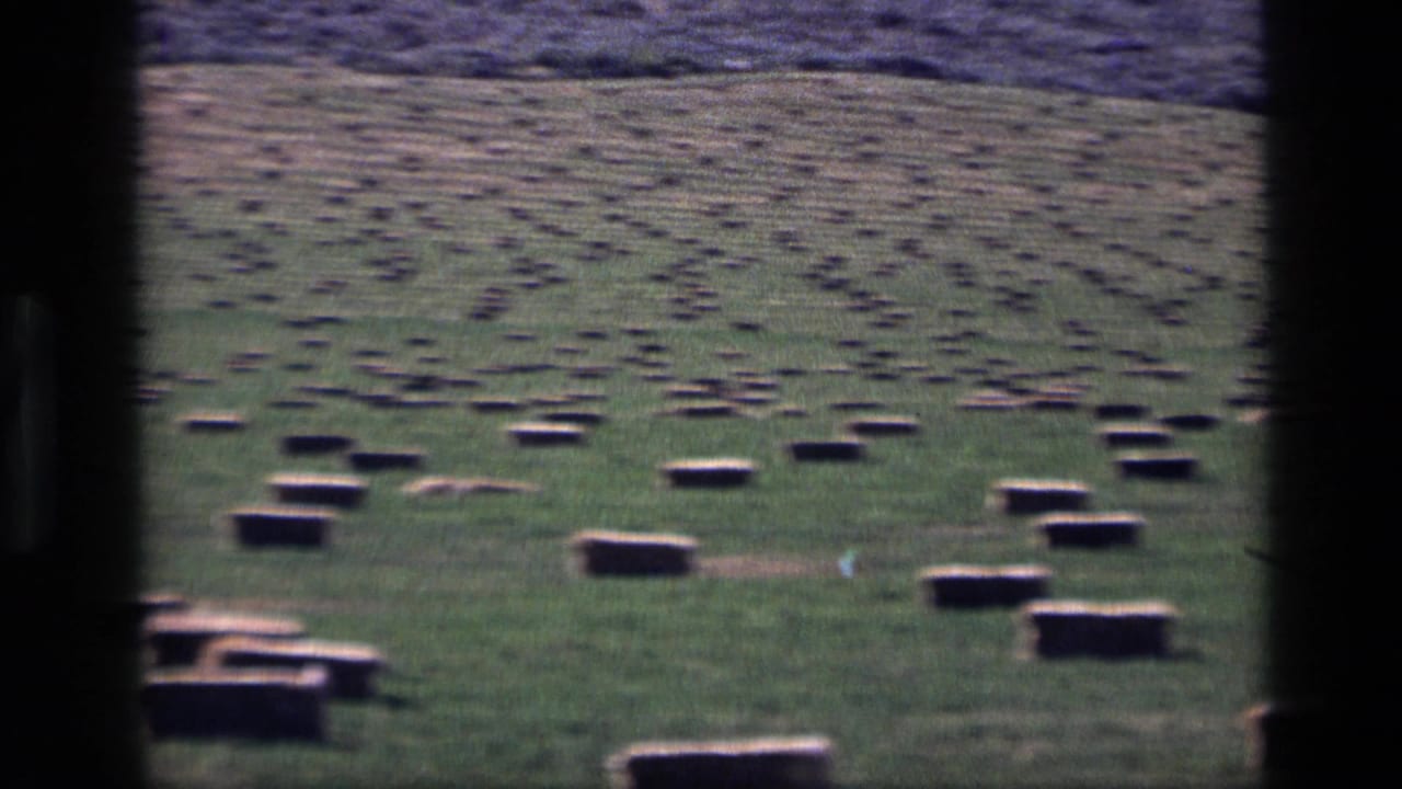 1972 Idaho 8mm frame showing rows of rectangular hay bales across a bright green pasture, seen through dark vertical bars.