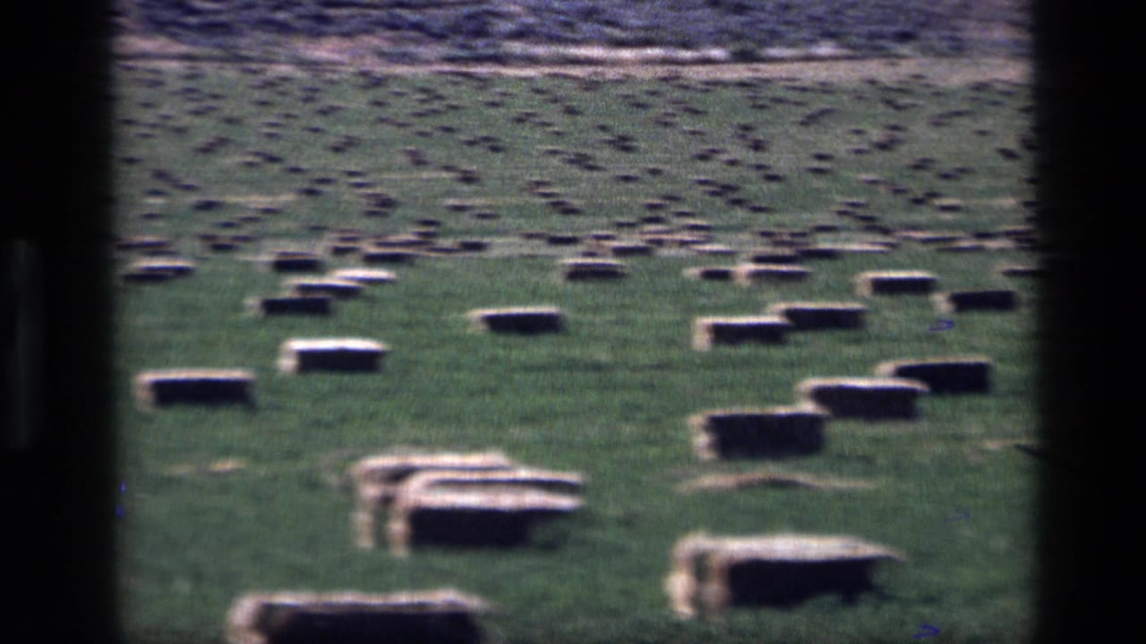 Grassy cemetery field with many low rectangular markers and dark film-frame borders.