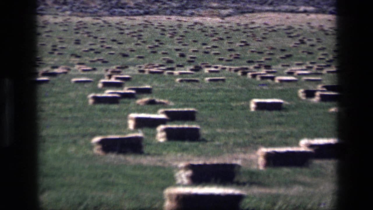 1972 Idaho cemetery view with numerous low rectangular markers across grass and a dark projection border at center.
