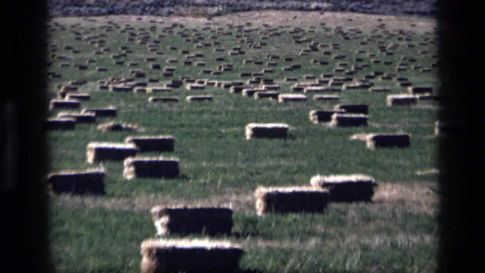 1972 Idaho 8mm frame with closer low grave markers in a grassy rural cemetery landscape.