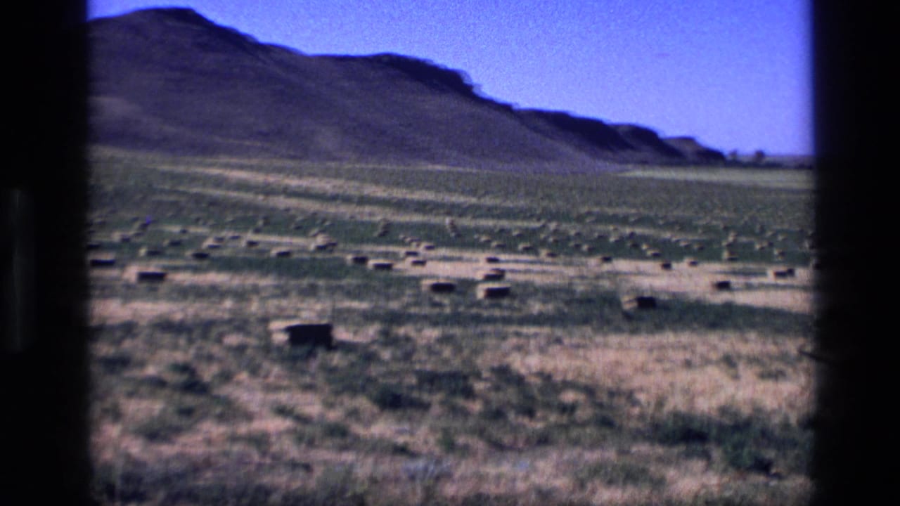 1972 Idaho 8mm frame showing rectangular hay bales scattered across a dry rural field below low hills and a clear blue sky.