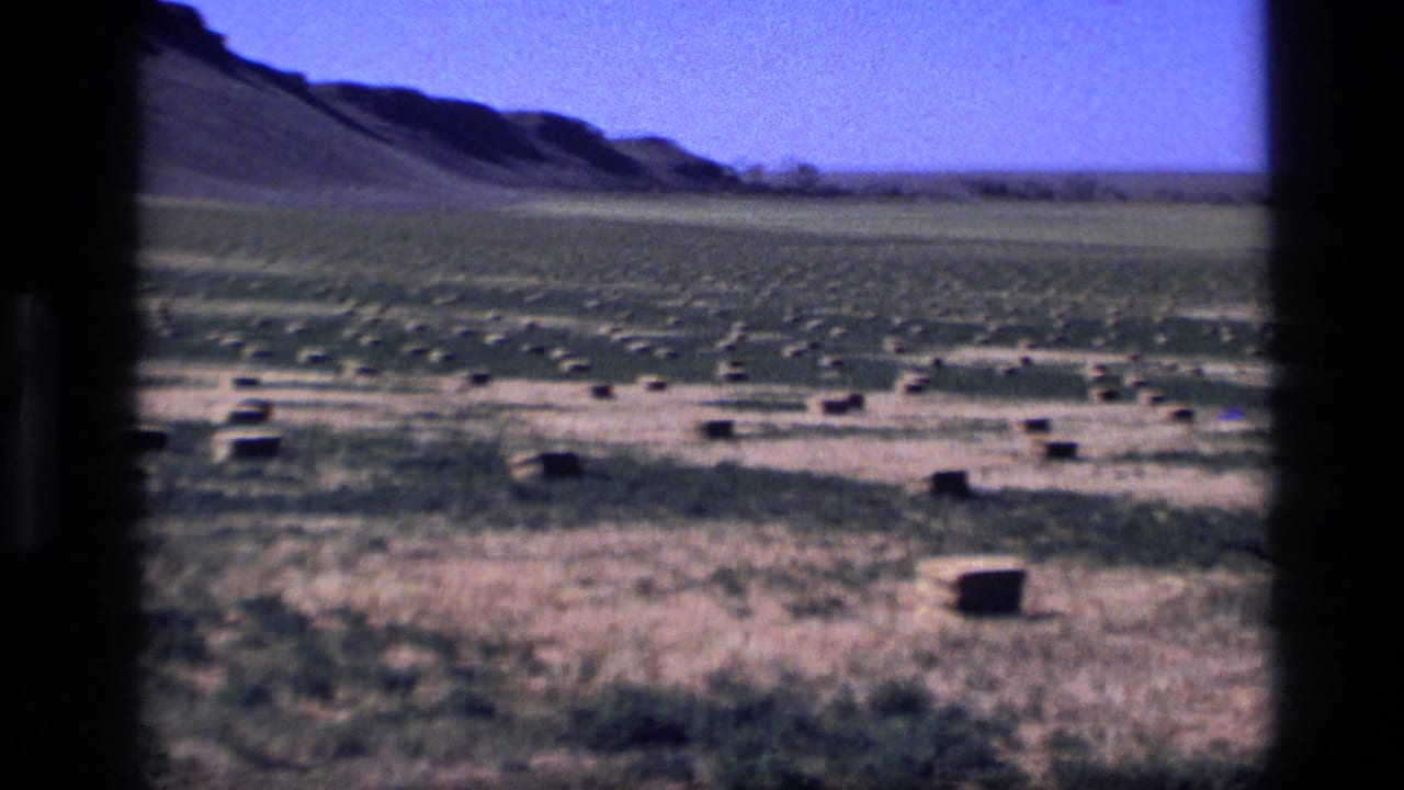 1972 Idaho 8mm frame of a broad hay field with scattered rectangular bales, distant low hills, and a dark film edge.