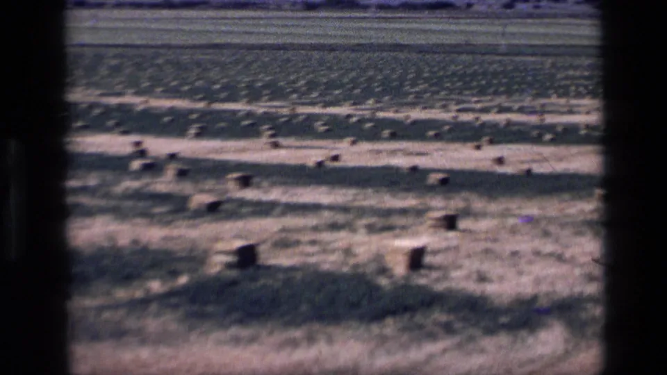 1972 Idaho 8mm frame of a rural field with rectangular hay bales, dry foreground grass, green crop rows, and distant trees.