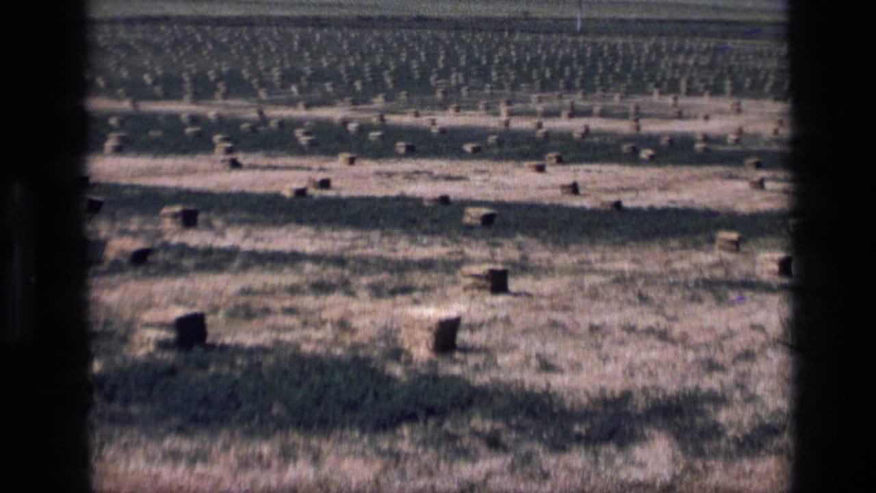 1972 Idaho home-movie frame showing an open dry field dotted with hay bales, seen through dark 8mm projector framing.