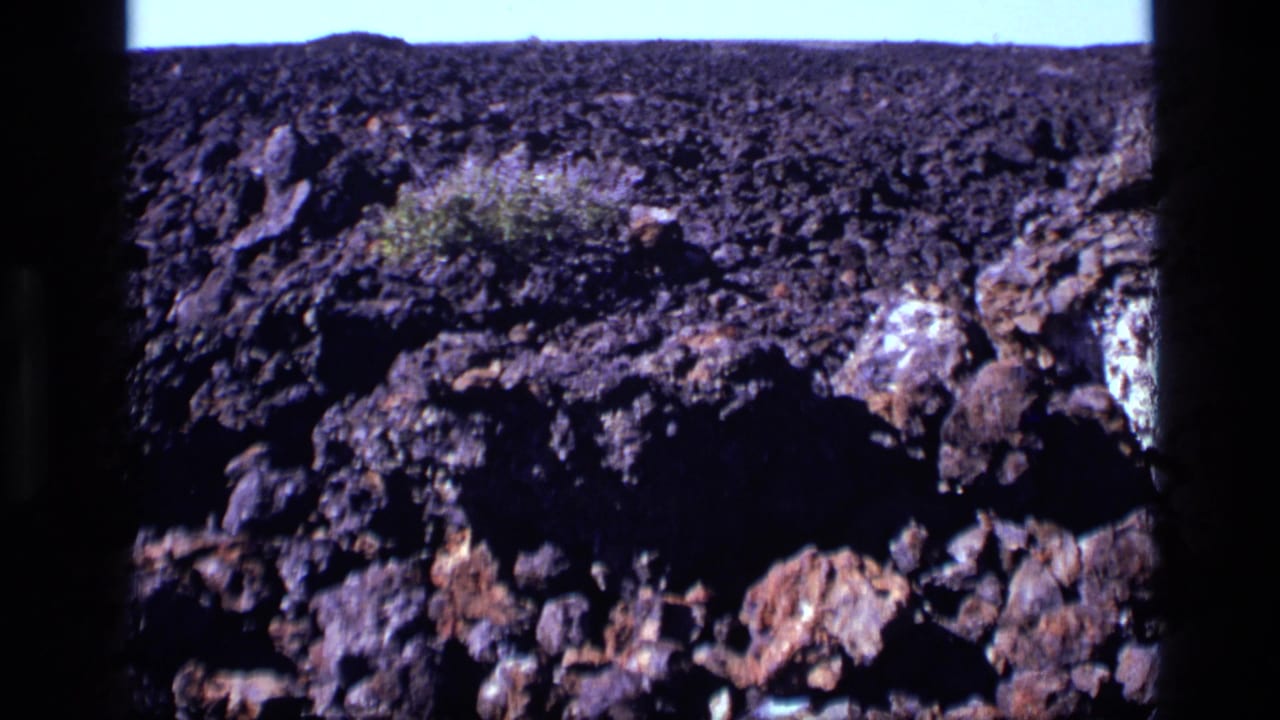 Low view across dark rock field with scrub plant and pale sky.