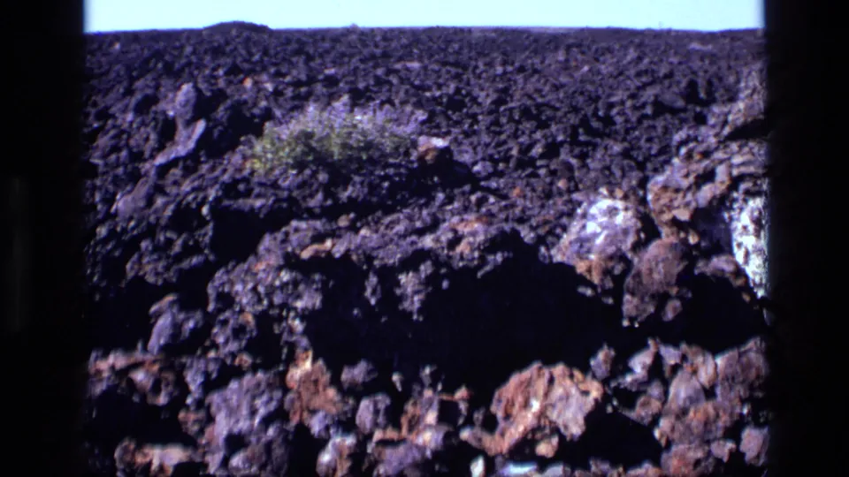 1972 Idaho 8mm frame looking across dark rocky terrain toward a small scrub plant under a bright pale sky.