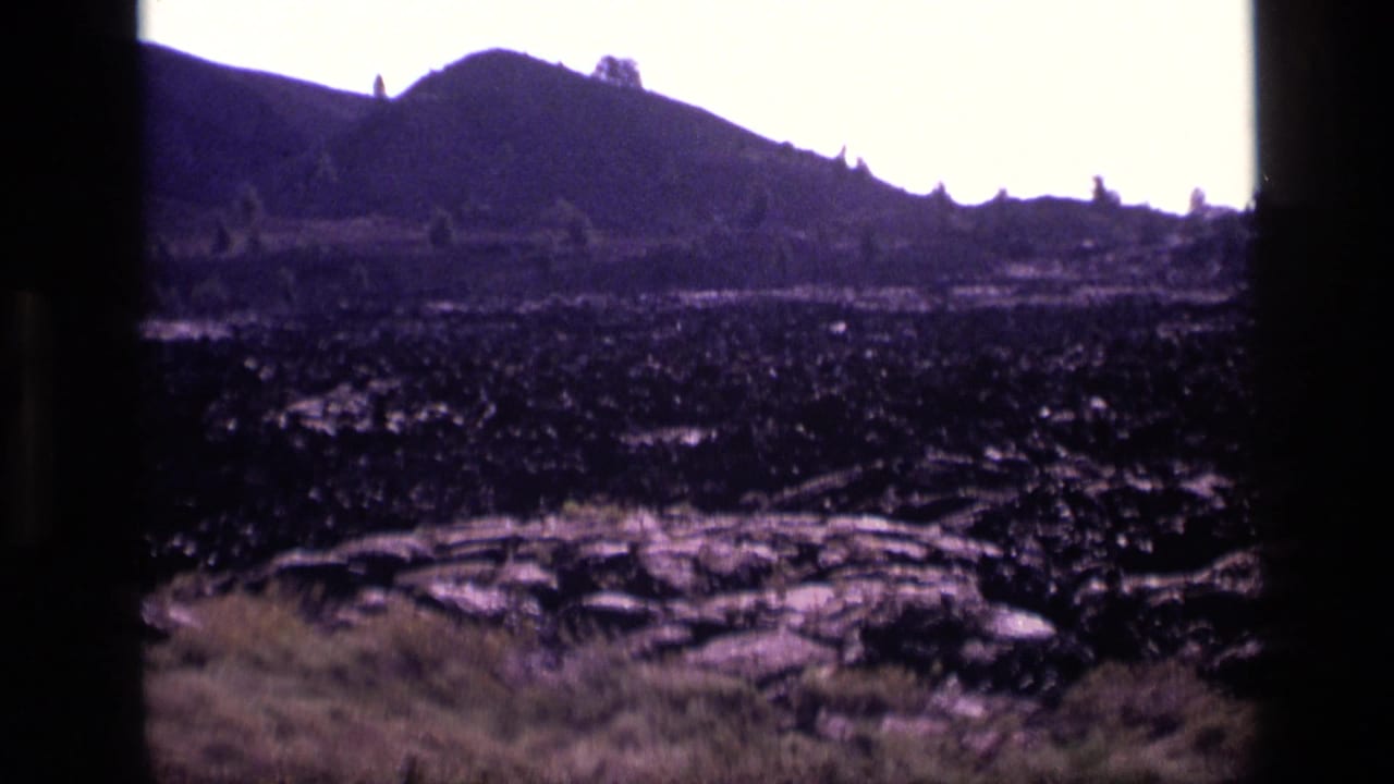 Blackened field stretches toward low hills under a pale sky.
