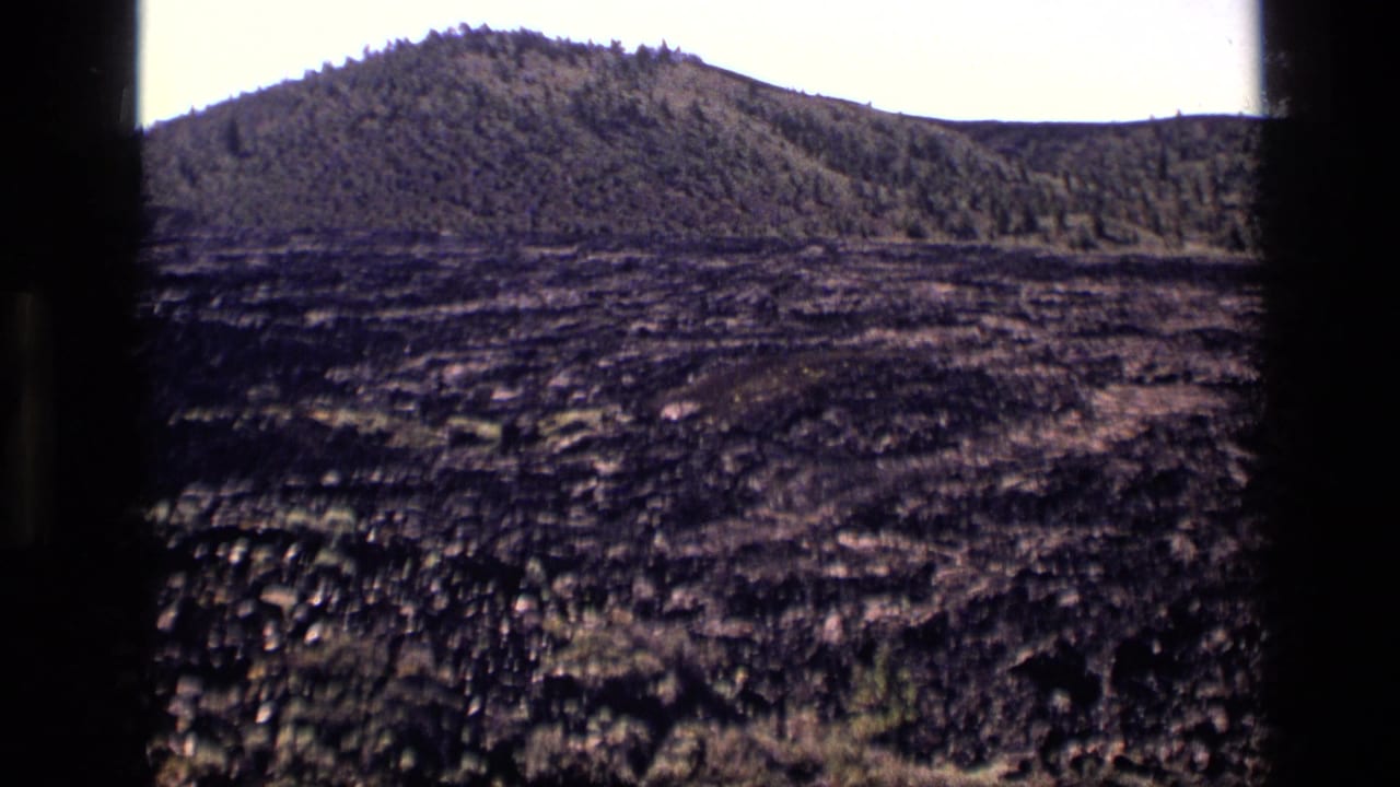 Dark rocky foreground leading to a green wooded hill under a pale sky.