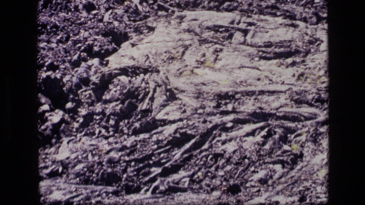1972 Idaho 8mm frame with rope-like solidified lava, scattered dark stones, and a few small green plants on volcanic terrain.