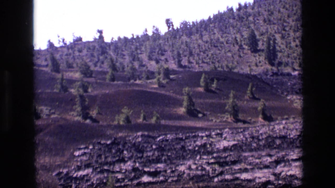 1972 Idaho landscape frame with scattered evergreens across dark hills and a denser wooded ridge beyond.