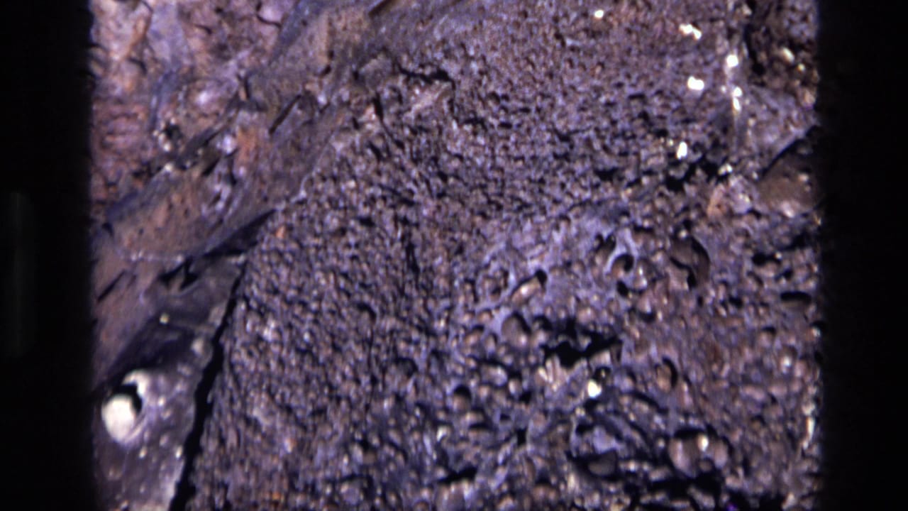 1972 Idaho 8mm close-up of a rough gray-white rock surface with porous texture, pale flecks, and dark cracks.