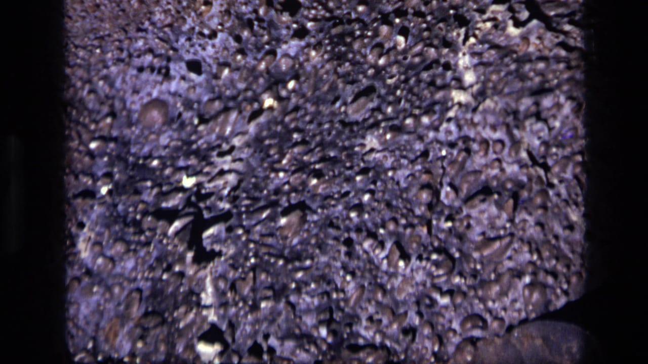 Close view of a dark porous surface with small holes and purple-brown texture.