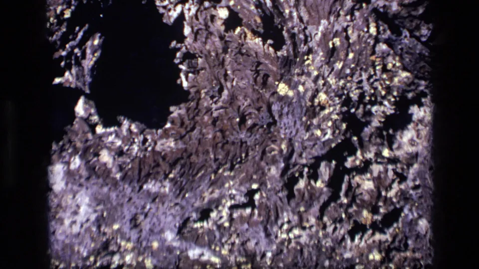 1972 Idaho 8mm frame showing a coral-like or fossil-like dried surface with a large shadowed opening and mineral-like highlights.