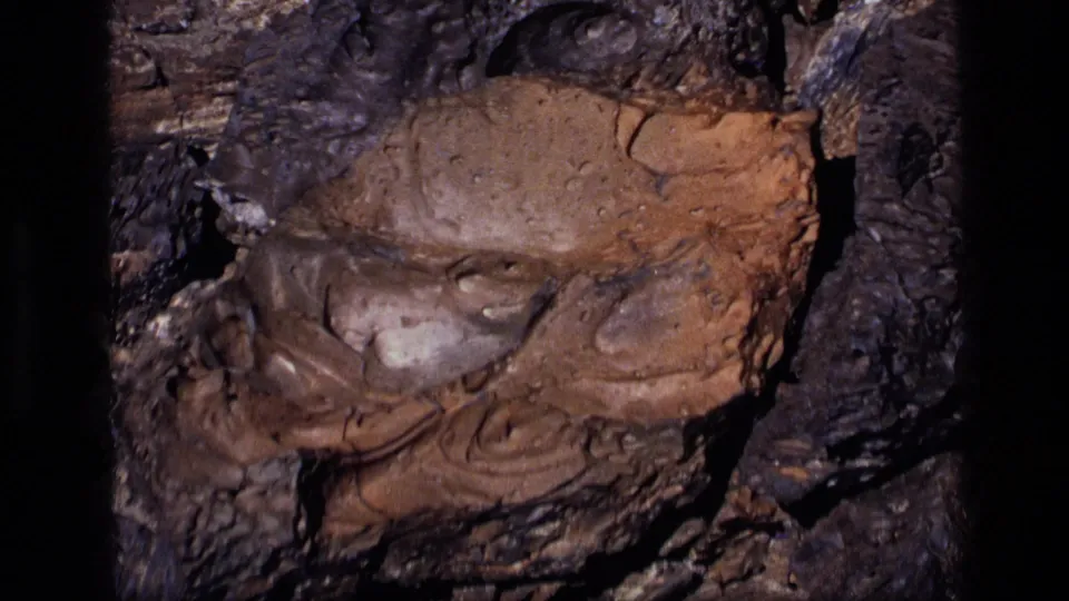 1972 Idaho 8mm frame showing reddish exposed bark or wood bordered by dark, rugged bark texture.