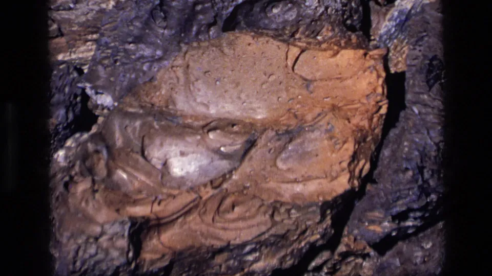 1972 Idaho 8mm frame focused on reddish bark detail, dark ridges, and handheld home-movie texture.
