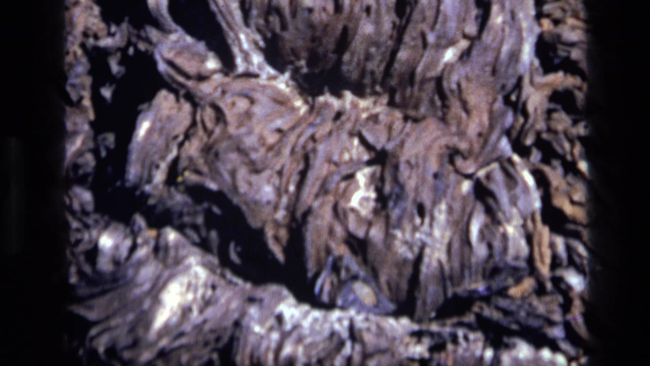 Close-up of rounded rock formations with folded textures and deep shadowed cracks.