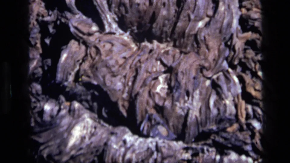 1972 Idaho 8mm close-up of rugged rock texture, curved ridges, pale highlights, and dark recessed gaps.