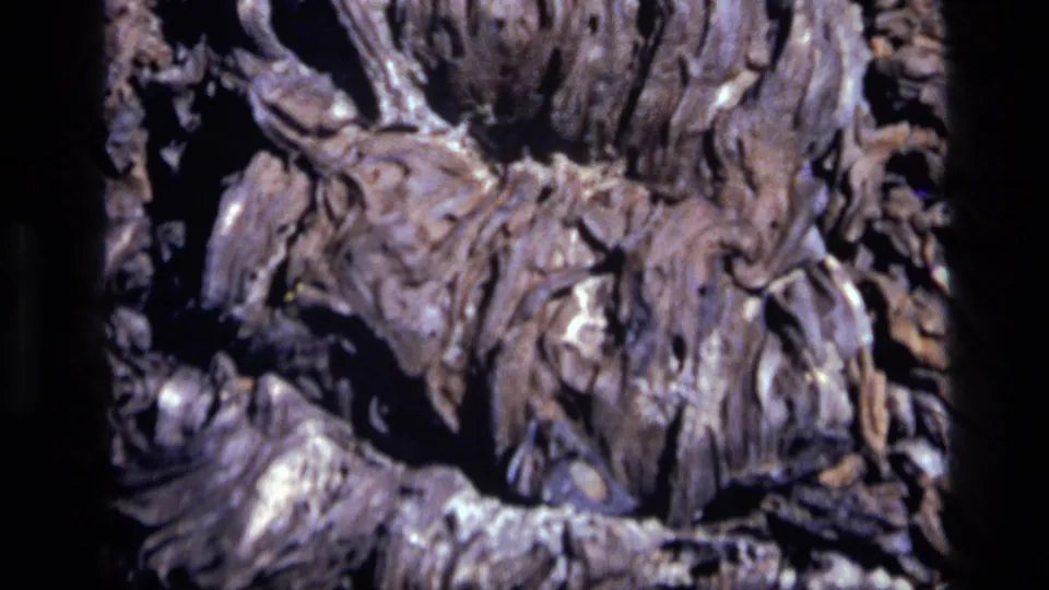 1972 Idaho 8mm frame of brown-gray rock ridges and crevices, with soft focus, grain, and uneven natural light.