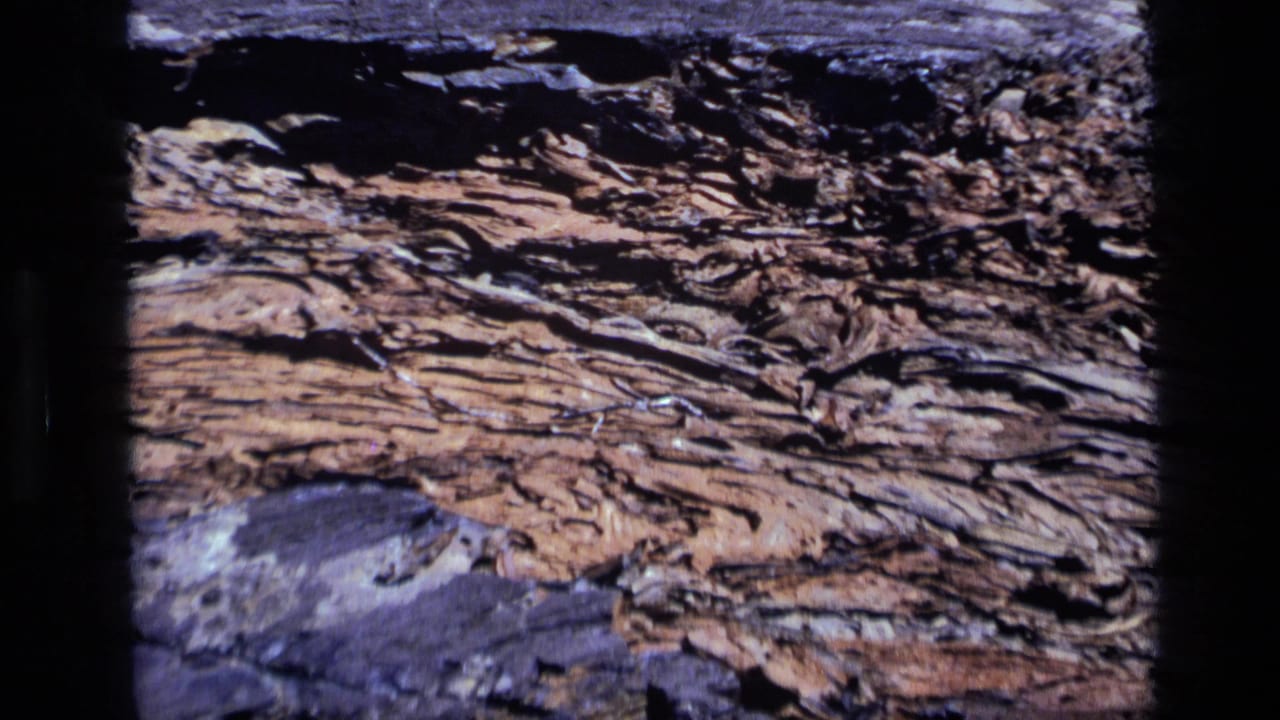 1972 Idaho 8mm frame showing textured rock layers, dark surrounding stone, and a thin pale twig or mineral line across the surface.